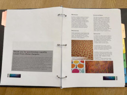 Red Wine Spills in Your Building’s Common Areas? No Problem!